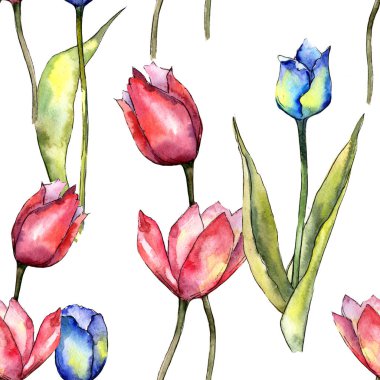 Renkli lale. Botanik çiçek. Sorunsuz arka plan deseni. Kumaş duvar kağıdı yazdırma doku. Arka plan, doku, sarıcı desen, çerçeve veya kenarlık için Aquarelle kır çiçeği.
