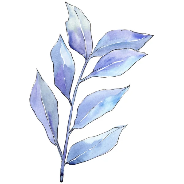 Elaeagnus Azul Sai Estilo Aquarela Isolado Folha Aquarelle Para Fundo — Fotografia de Stock