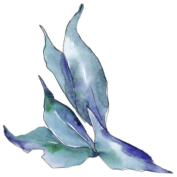 Blauwe Elaeagnus Laat Een Aquarel Stijl Geïsoleerd Aquarelle Blad Voor — Stockfoto