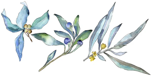 Μπλε Σκληραγωγημένα Φύλλα Στυλ Υδροχρώματος Απομονωμένη Φύλλα Ακουαρέλας Για Φόντο — Φωτογραφία Αρχείου