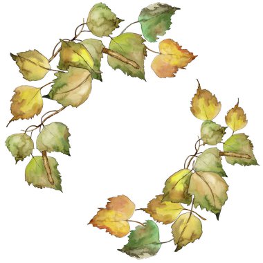 Huş ağacı bir suluboya tarzında bırakır. Çerçeve kenarlığı süsleme Meydanı. Aquarelle yaprak için arka plan, doku, sarıcı desen, çerçeve veya kenarlık.