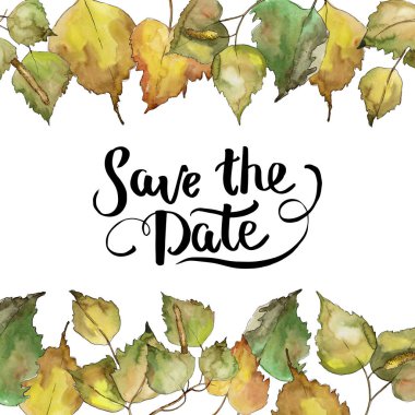 Huş ağacı bir suluboya tarzında bırakır. Çerçeve kenarlığı süsleme Meydanı. Aquarelle yaprak için arka plan, doku, sarıcı desen, çerçeve veya kenarlık.