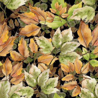 Akçaağaç suluboya tarzında bırakır. Sorunsuz arka plan deseni. Kumaş duvar kağıdı yazdırma doku. Aquarelle yaprak için arka plan, doku, sarıcı desen, çerçeve veya kenarlık.