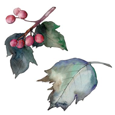 Kartopu izole bir suluboya tarzında bırakır. Aquarelle yaprak için arka plan, doku, sarıcı desen, çerçeve veya kenarlık.