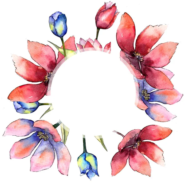 Цветной Тюльпан Цветочный Ботанический Цветок Каркас Границы Украшения Квадрат Aquarelle — стоковое фото