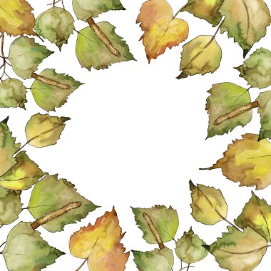 Huş ağacı bir suluboya tarzında bırakır. Çerçeve kenarlığı süsleme Meydanı. Aquarelle yaprak için arka plan, doku, sarıcı desen, çerçeve veya kenarlık.