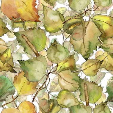 Huş ağacı bir suluboya tarzında bırakır. Sorunsuz arka plan deseni. Kumaş duvar kağıdı yazdırma doku. Aquarelle yaprak için arka plan, doku, sarıcı desen, çerçeve veya kenarlık.