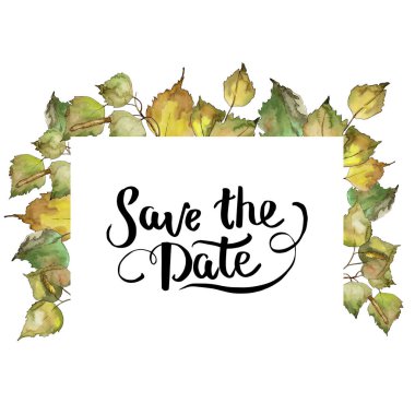 Huş ağacı bir suluboya tarzında bırakır. Çerçeve kenarlığı süsleme Meydanı. Aquarelle yaprak için arka plan, doku, sarıcı desen, çerçeve veya kenarlık.