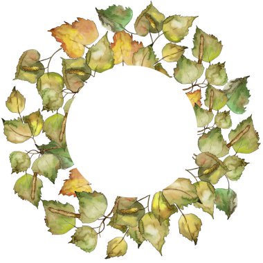 Huş ağacı bir suluboya tarzında bırakır. Çerçeve kenarlığı süsleme Meydanı. Aquarelle yaprak için arka plan, doku, sarıcı desen, çerçeve veya kenarlık.