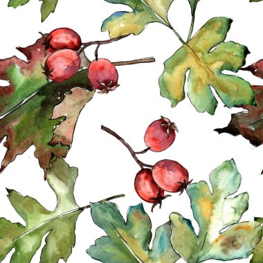 Alıç yeşil bir suluboya tarzında bırakır. Sorunsuz arka plan deseni. Kumaş duvar kağıdı yazdırma doku. Aquarelle yaprak için arka plan, doku, sarıcı desen, çerçeve veya kenarlık.