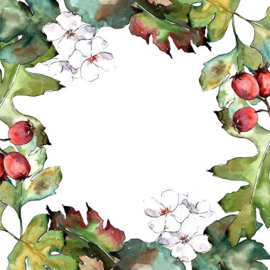 Alıç yeşil bir suluboya tarzında bırakır. Sorunsuz arka plan deseni. Kumaş duvar kağıdı yazdırma doku. Aquarelle yaprak için arka plan, doku, sarıcı desen, çerçeve veya kenarlık.