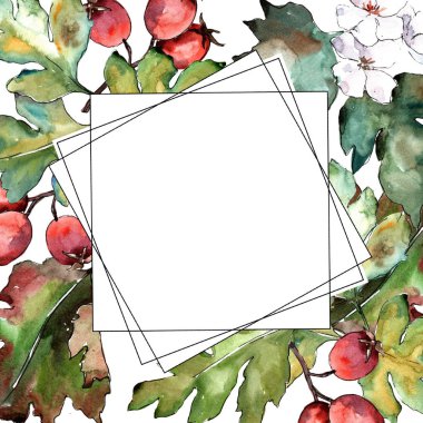 Alıç yeşil bir suluboya tarzında bırakır. Çerçeve kenarlığı süsleme Meydanı. Aquarelle yaprak için arka plan, doku, sarıcı desen, çerçeve veya kenarlık.