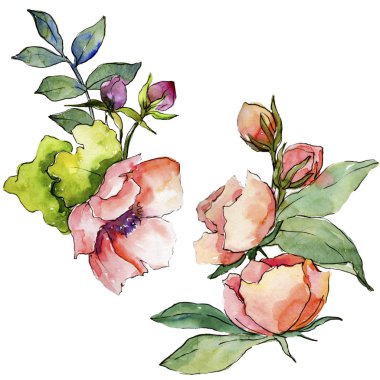 Pembe buket kır çiçeği. Botanik çiçek. Vahşi bahar yaprak izole kır çiçeği. Arka plan, doku, sarıcı desen, çerçeve veya kenarlık için Aquarelle kır çiçeği.