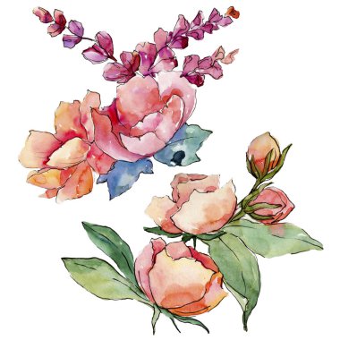 Pembe buket kır çiçeği. Botanik çiçek. Vahşi bahar yaprak izole kır çiçeği. Arka plan, doku, sarıcı desen, çerçeve veya kenarlık için Aquarelle kır çiçeği.