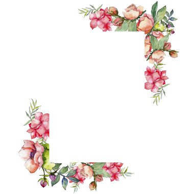 Pembe buket kır çiçeği. Çerçeve kenarlığı süsleme Meydanı. Arka plan, doku, sarıcı desen, çerçeve veya kenarlık için Aquarelle kır çiçeği.