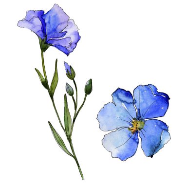 Mavi keten. Botanik çiçek. Vahşi bahar yaprak izole kır çiçeği. Arka plan, doku, sarıcı desen, çerçeve veya kenarlık için Aquarelle kır çiçeği.