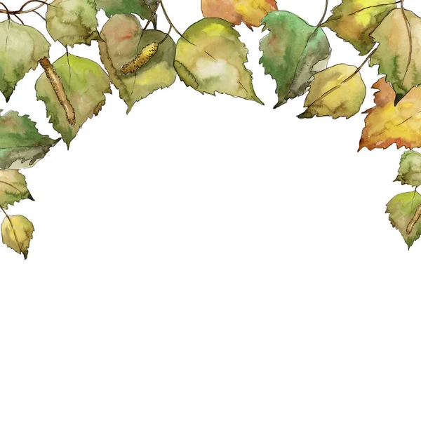 Φύλλα Σημύδας Στυλ Υδατογραφίας Πλατεία Στολίδι Περίγραμμα Πλαισίου Φύλλα Ακουαρέλας — Φωτογραφία Αρχείου