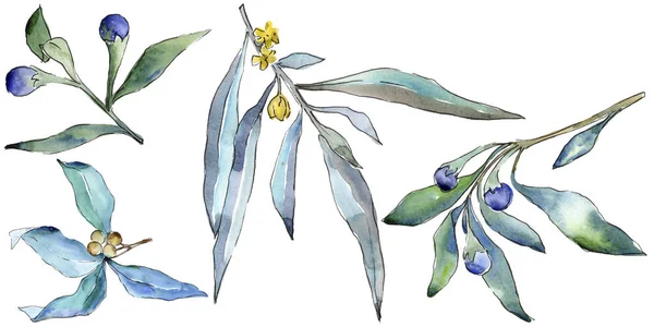 Μπλε Σκληραγωγημένα Φύλλα Στυλ Υδροχρώματος Απομονωμένη Φύλλα Ακουαρέλας Για Φόντο — Φωτογραφία Αρχείου