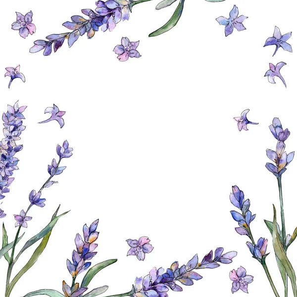 Fiolet Lawendy Botaniczny Kwiat Kwiatowy Ramki Granicznej Ornament Placu Aquarelle — Zdjęcie stockowe