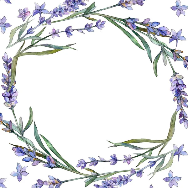 Violet Lavender Floral Botanical Flower Frame Border Ornament Square Aquarelle — Stock Photo, Image