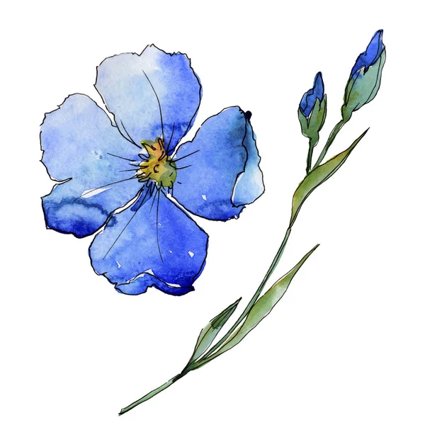 蓝色亚麻 花卉植物花 野生春叶野花分离 包装图案 框架或边框的水彩画野花 — 图库照片
