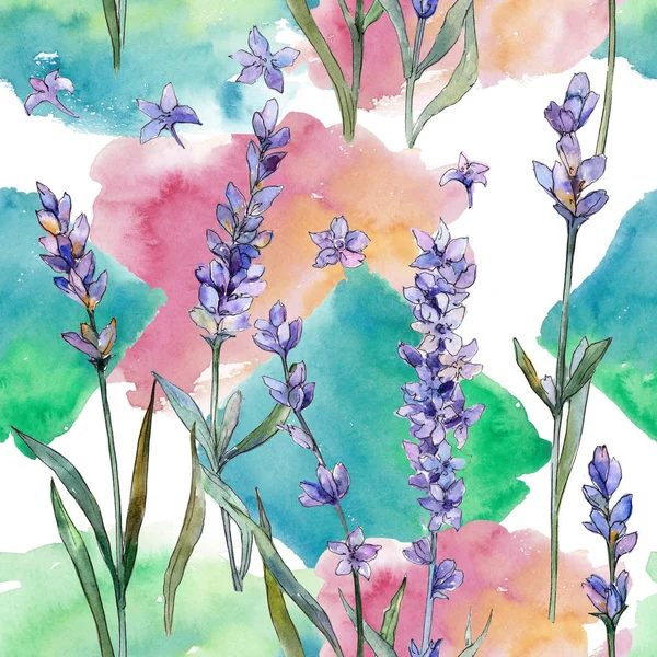 Mor lavanta. Sorunsuz arka plan deseni. Kumaş duvar kağıdı yazdırma doku. Arka plan, doku, sarıcı desen, çerçeve veya kenarlık için Aquarelle kır çiçeği.