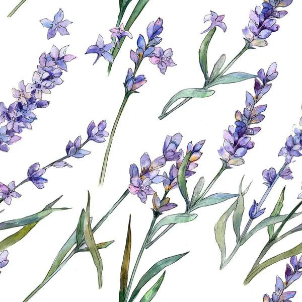 Mor lavanta. Sorunsuz arka plan deseni. Kumaş duvar kağıdı yazdırma doku. Arka plan, doku, sarıcı desen, çerçeve veya kenarlık için Aquarelle kır çiçeği.