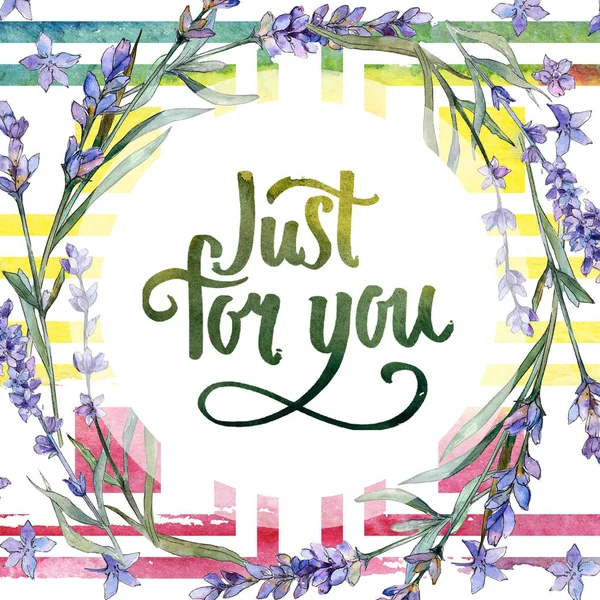 Mor lavanta. Botanik çiçek. Çerçeve kenarlığı süsleme Meydanı. Arka plan, doku, sarıcı desen, çerçeve veya kenarlık için Aquarelle kır çiçeği.