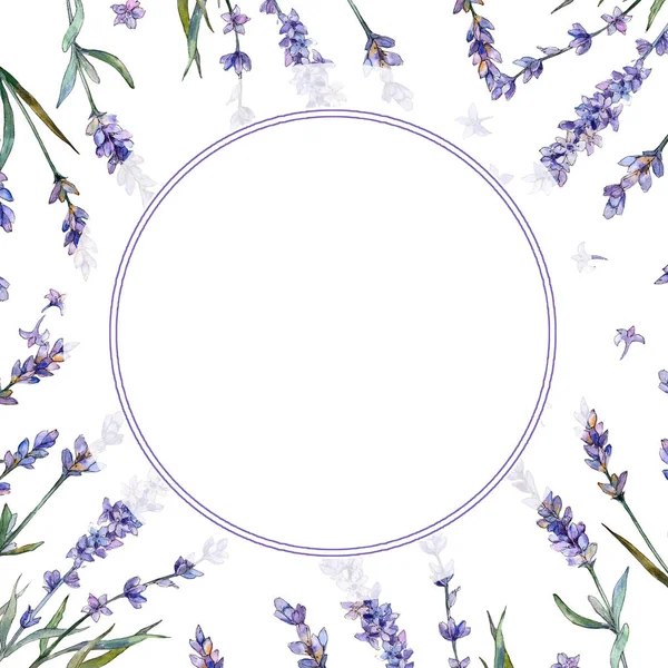 紫のラベンダー 花植物の花 フレーム枠飾りスクエア テクスチャ ラッパー パターン フレームや境界線の Aquarelle ワイルドフラワー — ストック写真