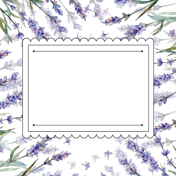 紫罗兰色薰衣草花卉植物花 框边框装饰广场 包装图案 框架或边框的水彩画野花 — 图库照片
