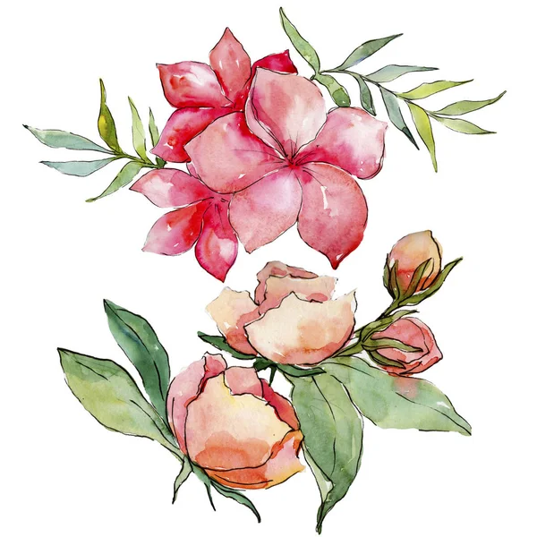 Pembe buket kır çiçeği. Botanik çiçek. Vahşi bahar yaprak izole kır çiçeği. Arka plan, doku, sarıcı desen, çerçeve veya kenarlık için Aquarelle kır çiçeği.