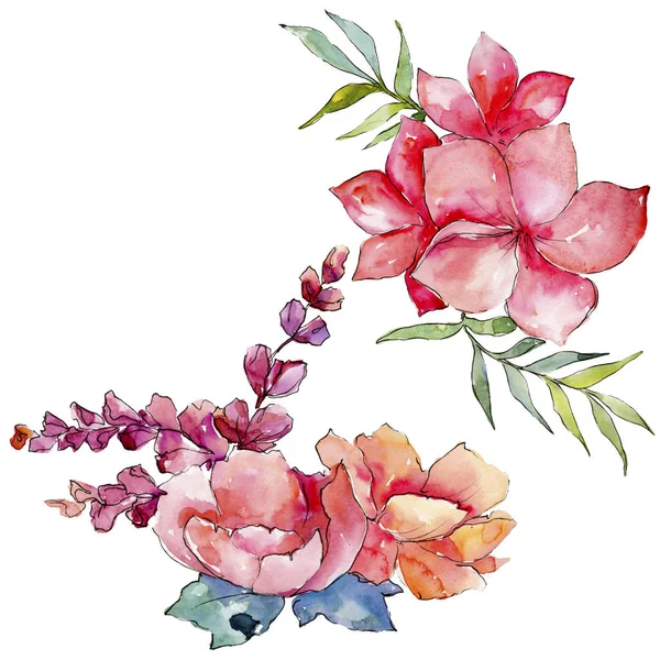 Pembe buket kır çiçeği. Botanik çiçek. Vahşi bahar yaprak izole kır çiçeği. Arka plan, doku, sarıcı desen, çerçeve veya kenarlık için Aquarelle kır çiçeği.