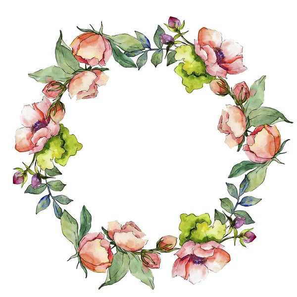 Ramo Rosa Flores Silvestres Marco Borde Ornamento Cuadrado Flor Silvestre —  Fotos de Stock