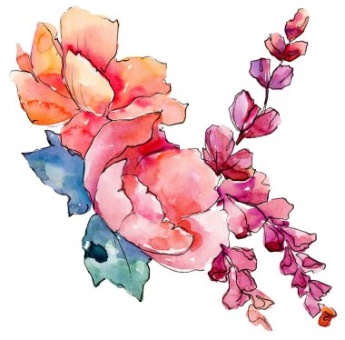 Pembe buket kır çiçeği. Botanik çiçek. Vahşi bahar yaprak izole kır çiçeği. Arka plan, doku, sarıcı desen, çerçeve veya kenarlık için Aquarelle kır çiçeği.