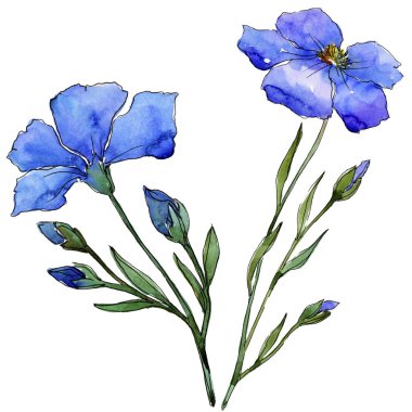 Mavi keten. Botanik çiçek. Vahşi bahar yaprak izole kır çiçeği. Arka plan, doku, sarıcı desen, çerçeve veya kenarlık için Aquarelle kır çiçeği.