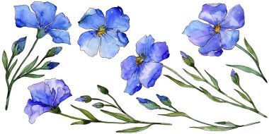 Mavi keten. Botanik çiçek. Vahşi bahar yaprak izole kır çiçeği. Arka plan, doku, sarıcı desen, çerçeve veya kenarlık için Aquarelle kır çiçeği.