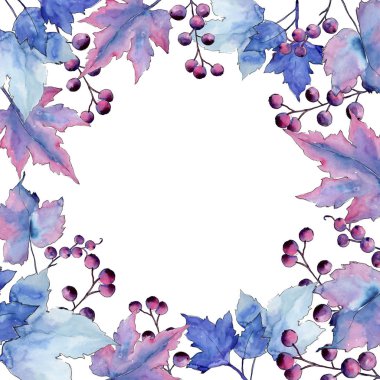 Frenk üzümü bir suluboya tarzında bırakır. Çerçeve kenarlığı süsleme Meydanı. Aquarelle yaprak için arka plan, doku, sarıcı desen, çerçeve veya kenarlık.