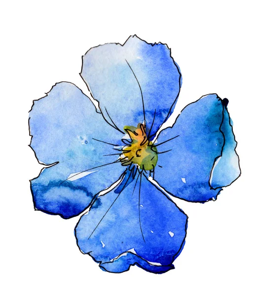 青い亜麻 花植物の花 野生春葉のワイルドフラワーが分離されました テクスチャ ラッパー パターン フレームや境界線の Aquarelle ワイルドフラワー — ストック写真