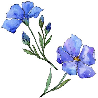 Mavi keten. Botanik çiçek. Vahşi bahar yaprak izole kır çiçeği. Arka plan, doku, sarıcı desen, çerçeve veya kenarlık için Aquarelle kır çiçeği.