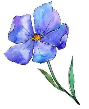 Mavi keten. Botanik çiçek. Vahşi bahar yaprak izole kır çiçeği. Arka plan, doku, sarıcı desen, çerçeve veya kenarlık için Aquarelle kır çiçeği.