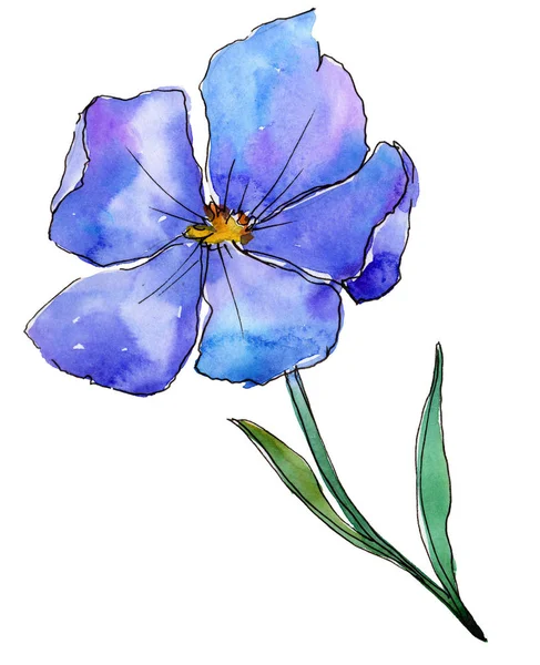 Блакитний Льон Квіткова Ботанічна Квітка Дикий Весняний Лист Ізольований Акварель — стокове фото