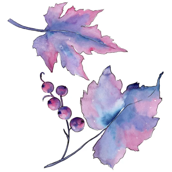 Laisse Groseille Dans Style Aquarelle Isolé Feuille Aquarelle Pour Fond — Photo