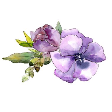 Menekşe buketi. Botanik çiçek. Vahşi bahar yaprak izole kır çiçeği. Arka plan, doku, sarıcı desen, çerçeve veya kenarlık için Aquarelle kır çiçeği.