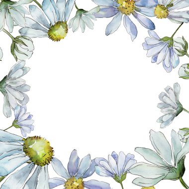 Beyaz papatya. Botanik çiçek. Çerçeve kenarlığı süsleme Meydanı. Arka plan, doku, sarıcı desen, çerçeve veya kenarlık için Aquarelle kır çiçeği.