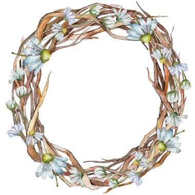 Beyaz papatya. Botanik çiçek. Çerçeve kenarlığı süsleme Meydanı. Arka plan, doku, sarıcı desen, çerçeve veya kenarlık için Aquarelle kır çiçeği.