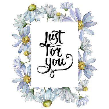 Beyaz papatya. Botanik çiçek. Çerçeve kenarlığı süsleme Meydanı. Arka plan, doku, sarıcı desen, çerçeve veya kenarlık için Aquarelle kır çiçeği.