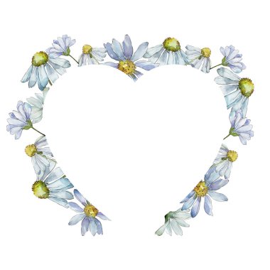 Beyaz papatya. Botanik çiçek. Çerçeve kenarlığı süsleme Meydanı. Arka plan, doku, sarıcı desen, çerçeve veya kenarlık için Aquarelle kır çiçeği.