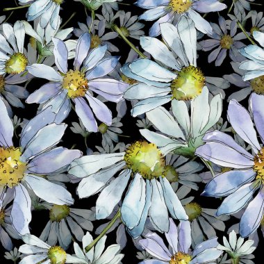 Beyaz papatya. Botanik çiçek. Sorunsuz arka plan deseni. Kumaş duvar kağıdı yazdırma doku... Arka plan, doku, sarıcı desen, çerçeve veya kenarlık için Aquarelle kır çiçeği.