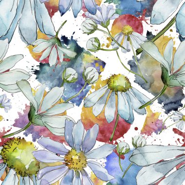 Beyaz papatya. Botanik çiçek. Sorunsuz arka plan deseni. Kumaş duvar kağıdı yazdırma doku... Arka plan, doku, sarıcı desen, çerçeve veya kenarlık için Aquarelle kır çiçeği.