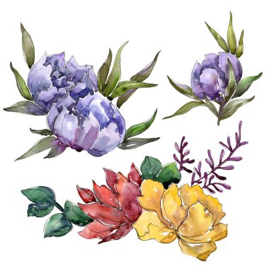Renkli buket. Botanik çiçek. Vahşi bahar yaprak izole kır çiçeği. Arka plan, doku, sarıcı desen, çerçeve veya kenarlık için Aquarelle kır çiçeği.